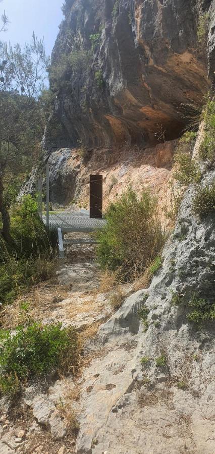 La Chirrichana Bicorp المظهر الخارجي الصورة
